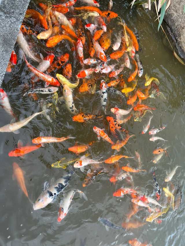 台州天台山｜飛流直下三千尺