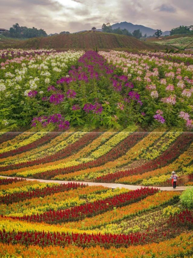 山清水秀華蓥山