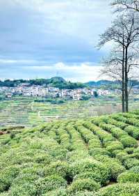 夢幻村落～下岩貝村