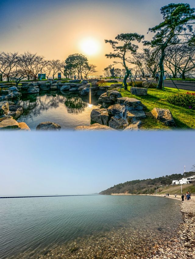 無錫太湖植物園璀璨登場，限時免費暢遊一週