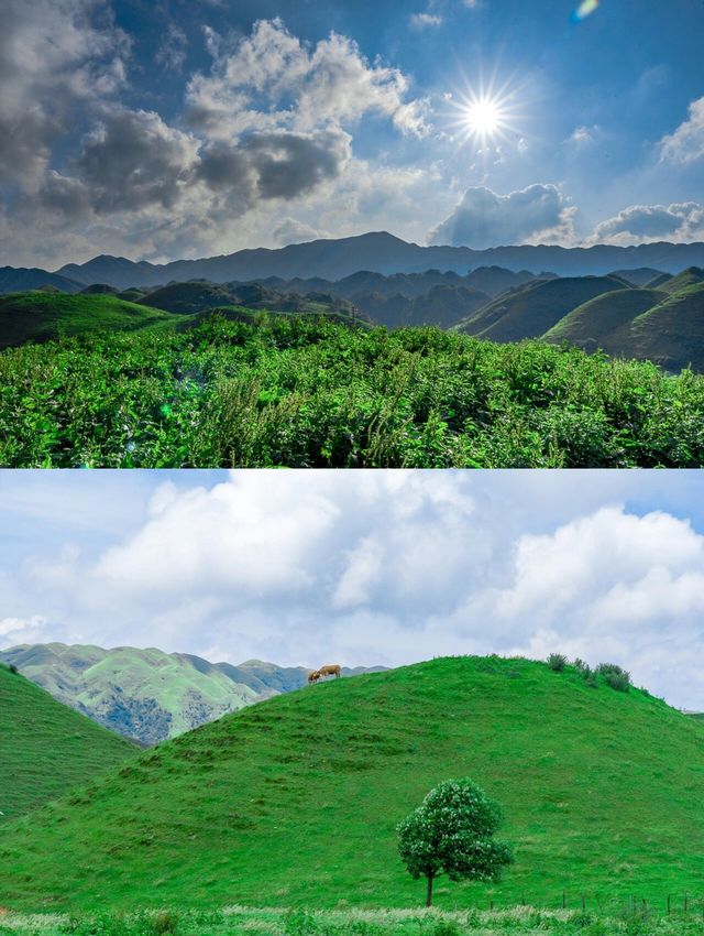 城步南山位於邵陽，是一處與天相連的山脈，雲海的彼端