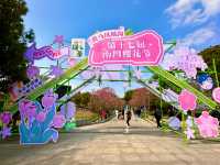 <《花的盛宴：南昌凤凰沟的繽紛春天》