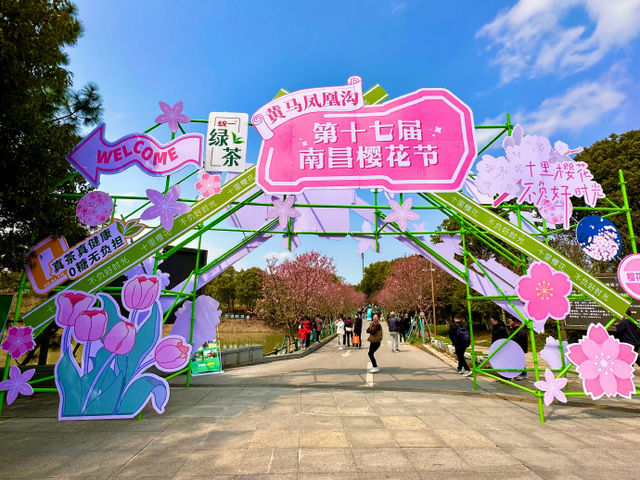 <《花的盛宴：南昌凤凰沟的繽紛春天》