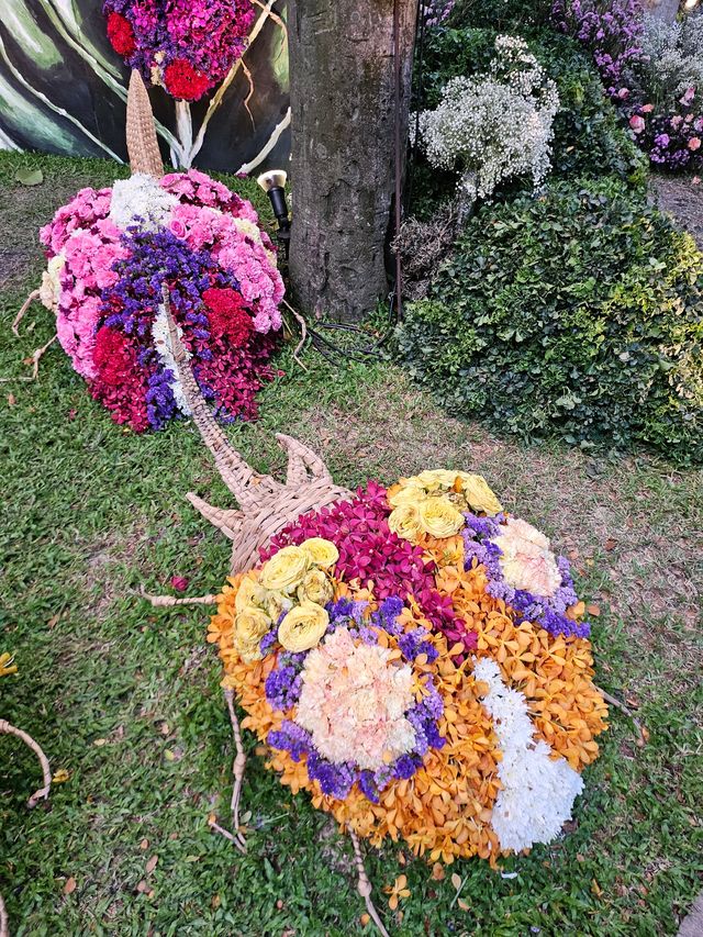 在曼谷，大型花卉展，就三天！