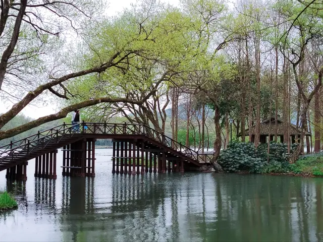 Maojiabu at the West Lake is so beautiful, oh my goodness