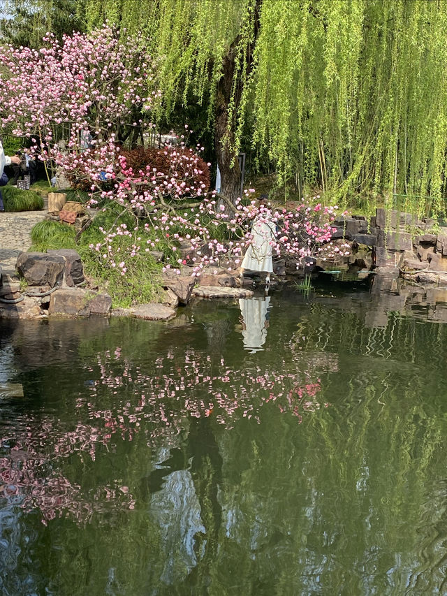 太倉，頂流的雙色桃花｜南園賞花