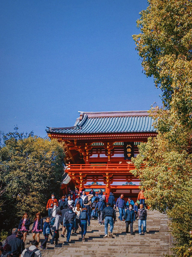 春｜鎌倉閒遊，觀花賞景望富士