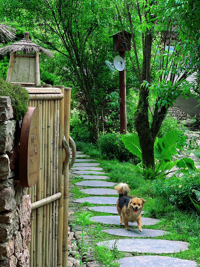 誤打誤撞，在神仙居住的地方呆了兩天！