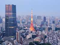我願稱之為東京鐵塔的最佳拍攝點