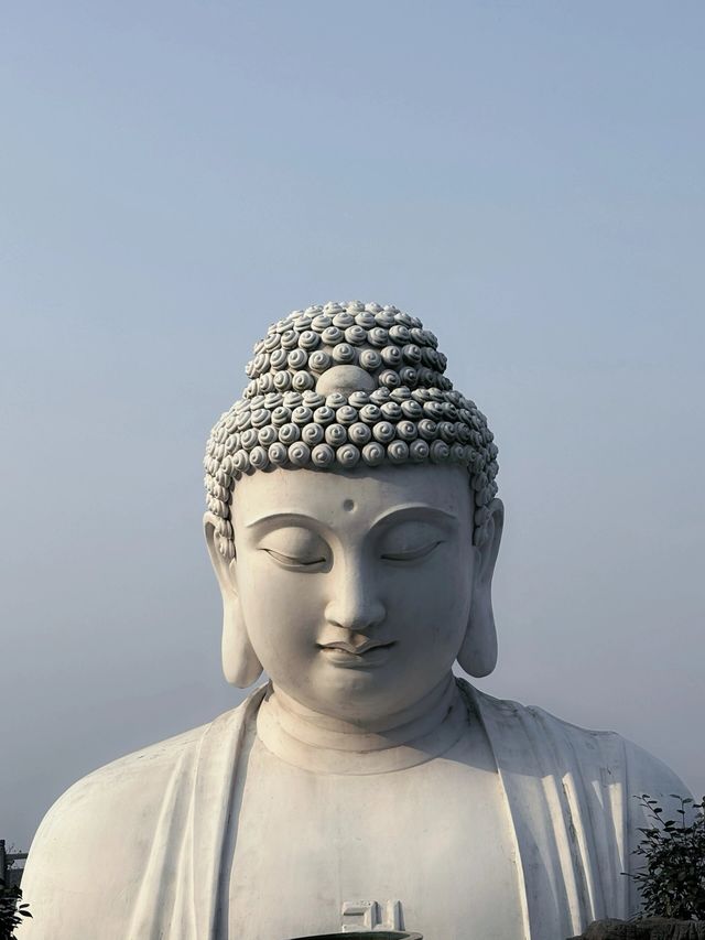 南京東廬山觀音寺山中坐看雲起時