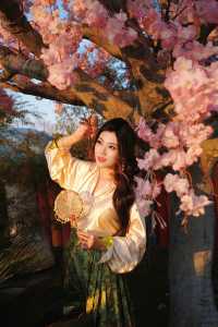 春日踏青季｜賞花是春天的要緊事