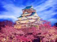 A Castle Flower Sakura