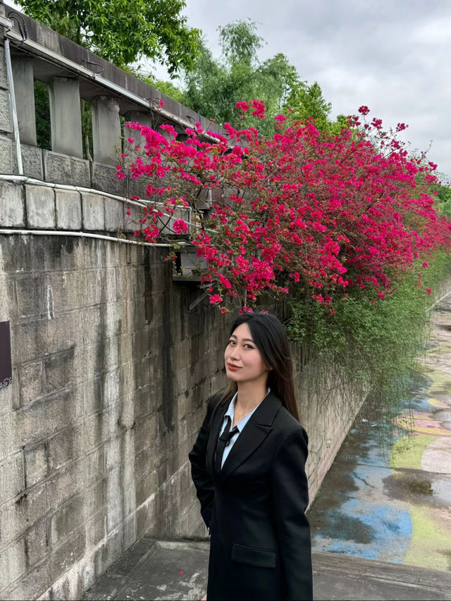 一座嚴重被低估的城市