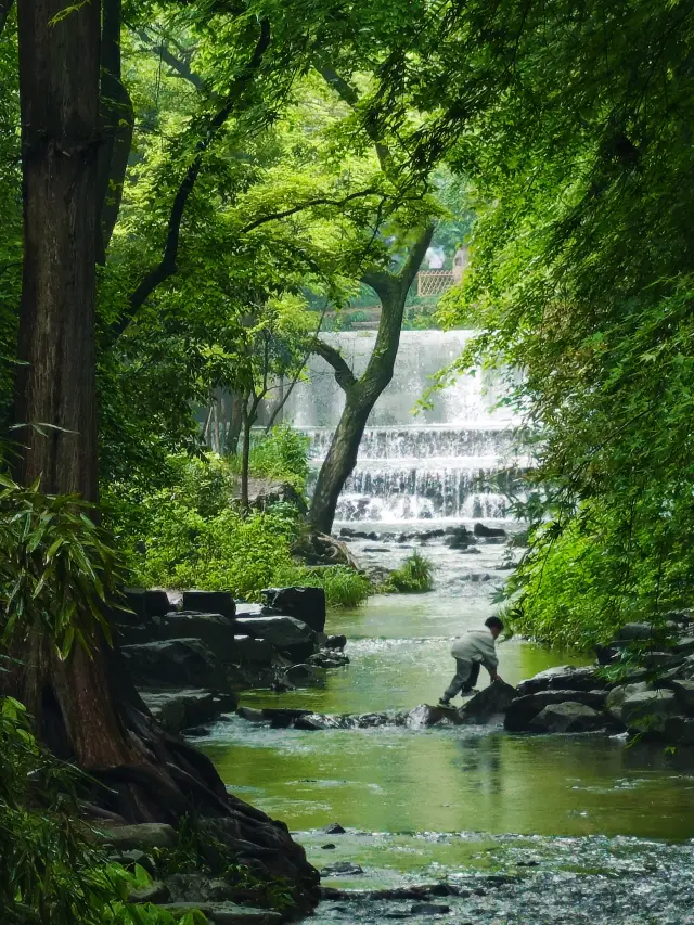 The most beautiful hiking route in Hangzhou! Now is the perfect time to go