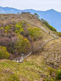 本週可衝海坨山谷山花待放進行時