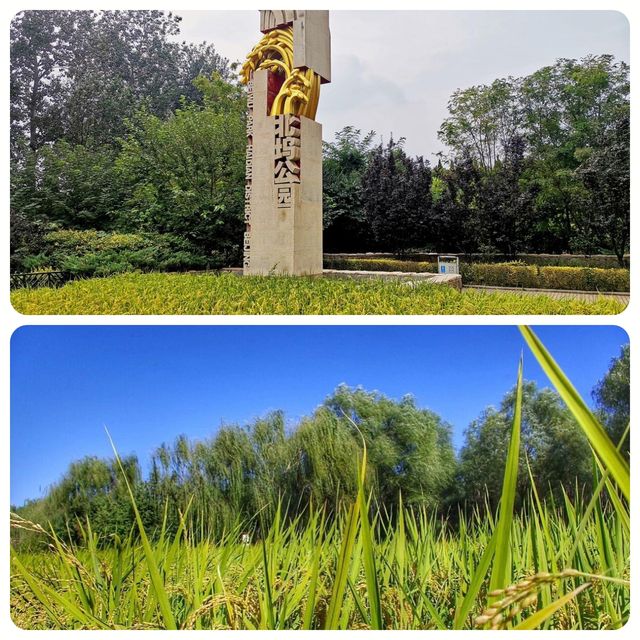 北京·北坞公園