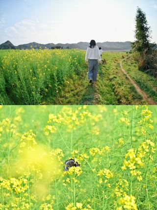 Yueyang! A hidden gem for sweet wine enthusiasts | Changle Ancient Town
