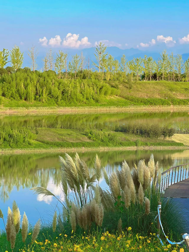 在西安,去一百次都不會膩的寶藏公園 在西安,去一百次都不會膩的寶藏公園