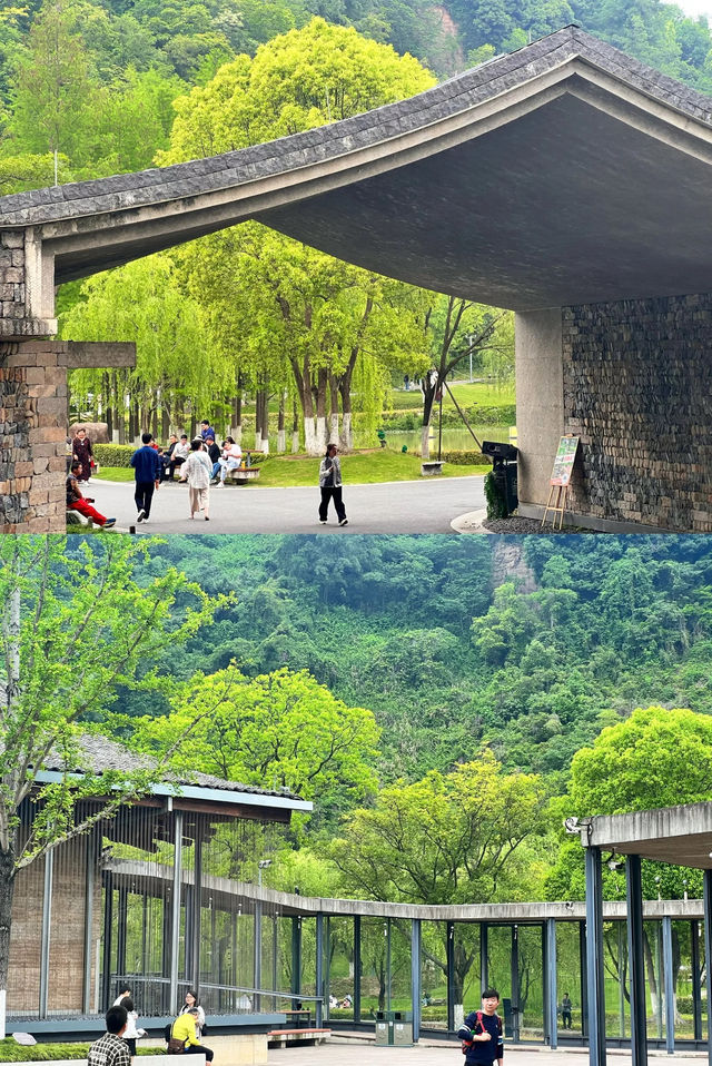 這地方絕對會成為杭州下個頂流!!臨安博物館