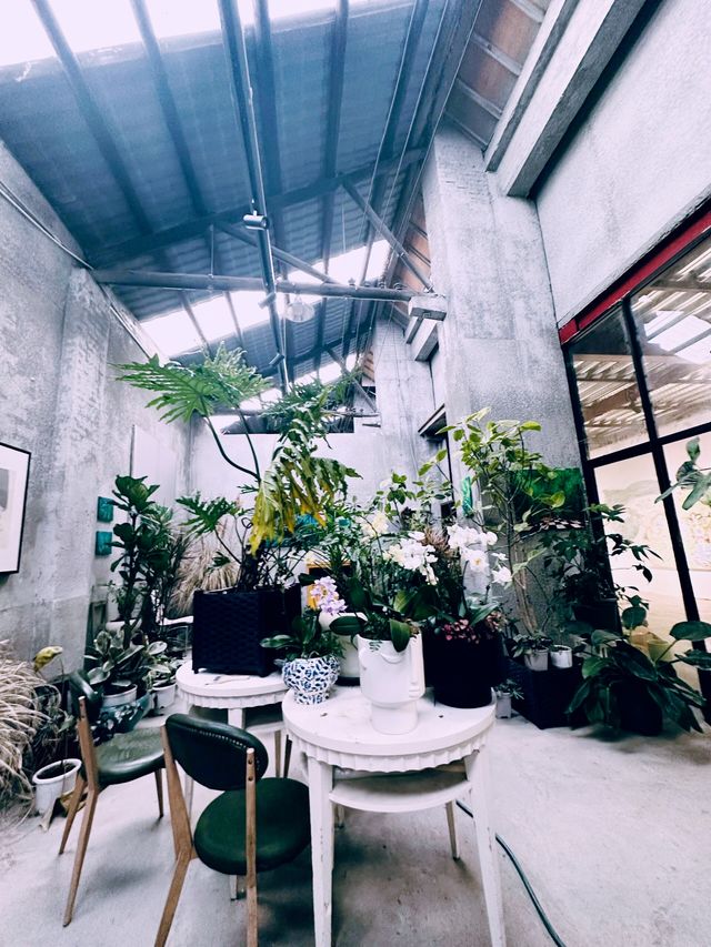 湘潭|頂流打卡地