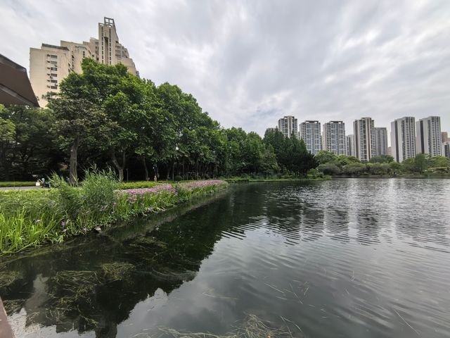 城市公園圖鑑|和平公園