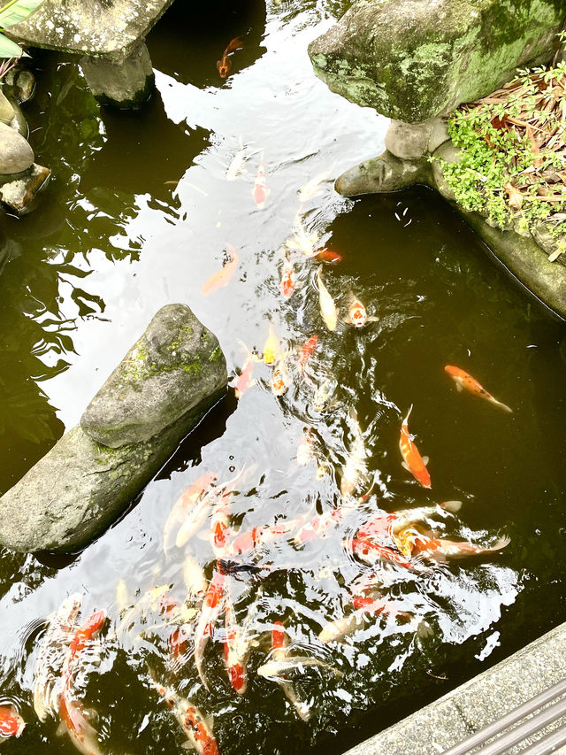台北ㅣ大龍峒ㅣ保安宮ㅣ求子求健康超靈驗