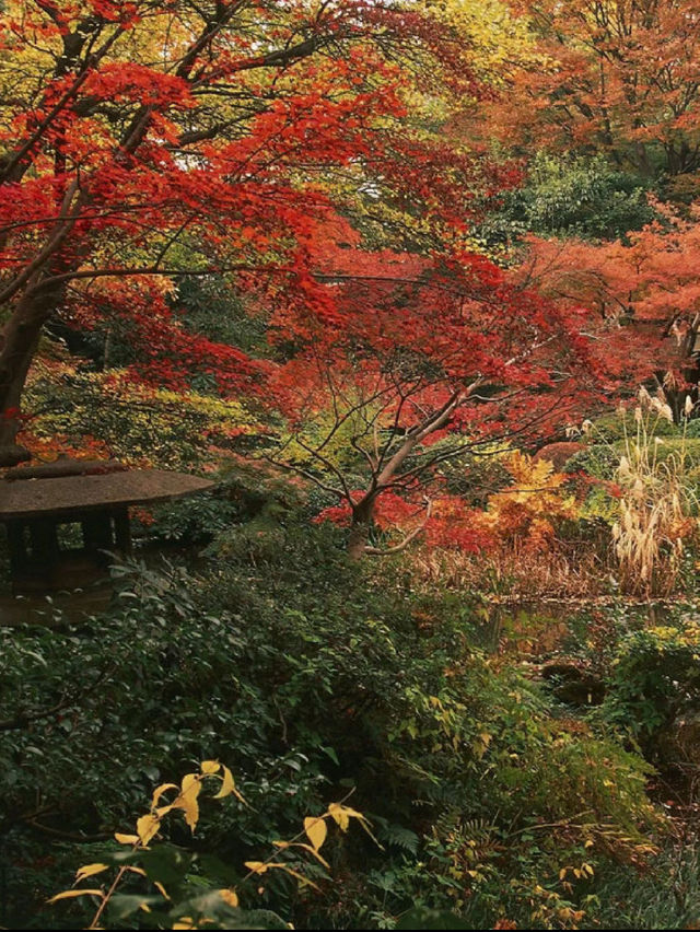 Nezu Museum Tokyo Japan 🇯🇵 