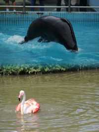 上海動物園超全攻略，你get了嗎？