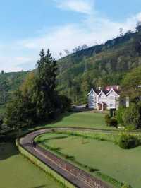 🌟 Nuwara Eliya's Hidden Gem: Bellwood Manor 🌟
