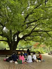 漫遊上海：中山公園，百年公園新變化