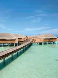 🌴🏖️ Maldives Magic: Top Stay at Constance Moofushi! 🍹🌟