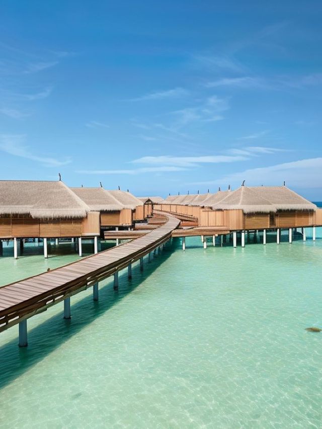 🌴🏖️ Maldives Magic: Top Stay at Constance Moofushi! 🍹🌟