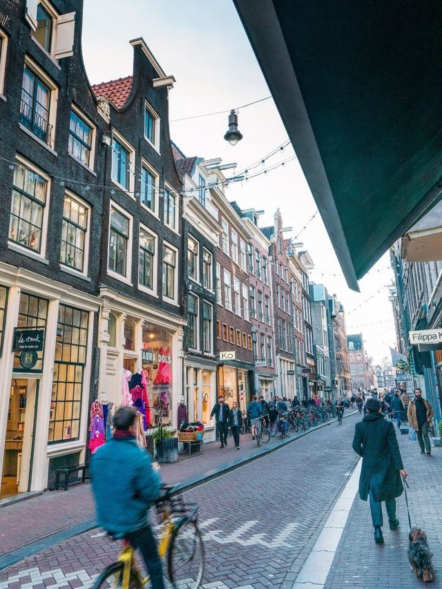 🌟 Amsterdam's Luxe Life: Waldorf Astoria's Elegance 🌟