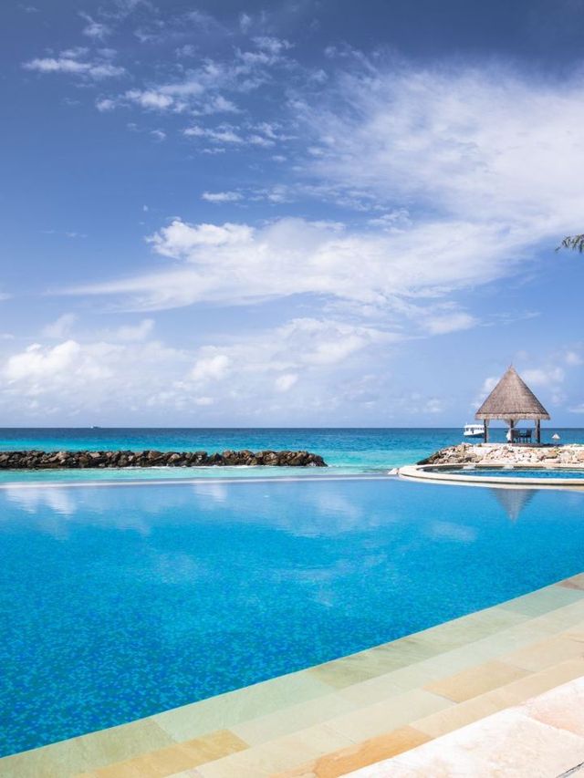 🌟 Maldives Magic: Luxe Stays at Taj Coral Reef! 🌊