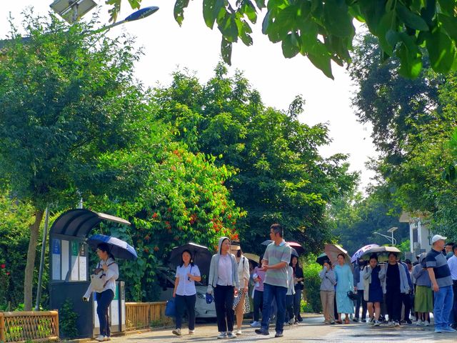 走進五星村