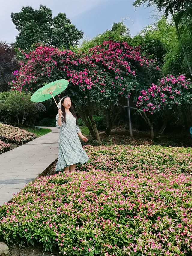 暑假旅行指南 |元享受的精彩吸氧之旅
