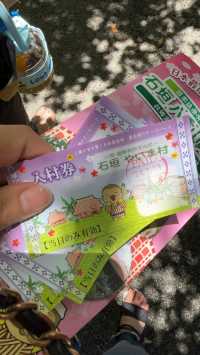 MSC榮耀號郵輪歸來