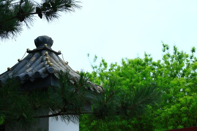 廊坊｜隆福寺——免費齋飯、舍粥