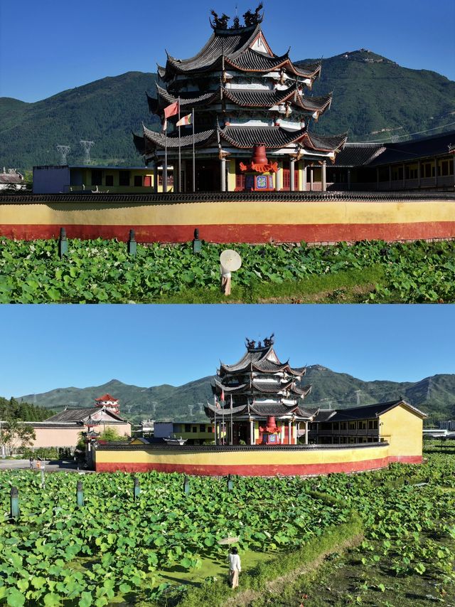 福建被低估的寶藏小城！小眾避暑勝地！！！