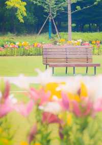上海夏日超美絕絕紫，去這3家公園就能找到