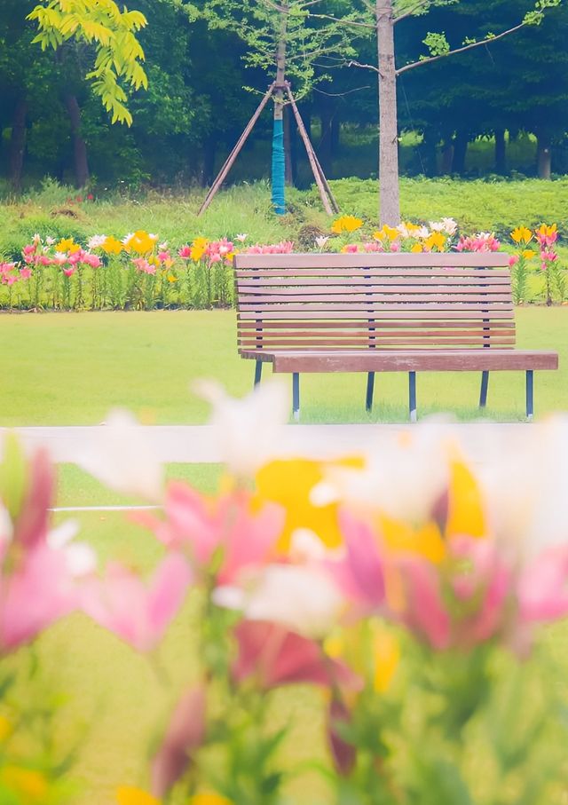 上海夏日超美絕絕紫，去這3家公園就能找到