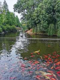 長沙生態動物園,與動物們的親密接觸