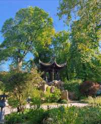 It seems as if I haven't left the country, as I find myself in a Chinese garden in Frankfurt. I am bewildered. 😵