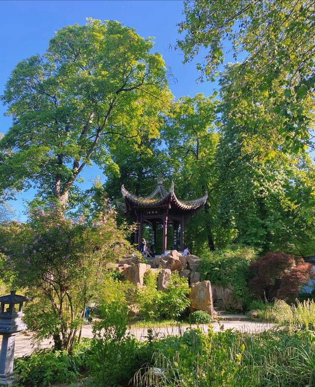 It seems as if I haven't left the country, as I find myself in a Chinese garden in Frankfurt. I am bewildered. 😵
