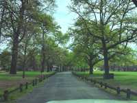 基督城哈格利公園，城市中的自然綠洲