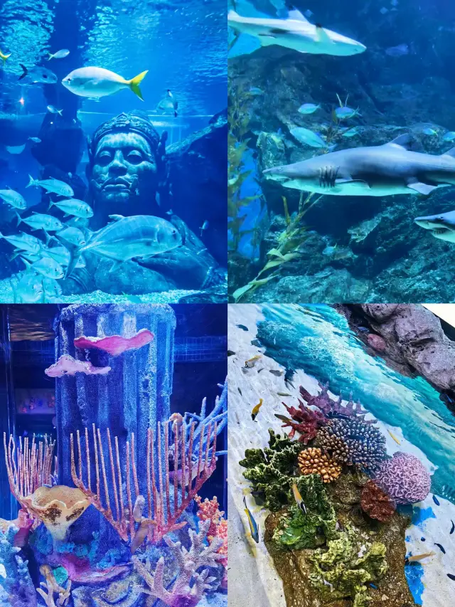 曼谷2日漫游：都市繁華與河畔風情 🏙️🌊