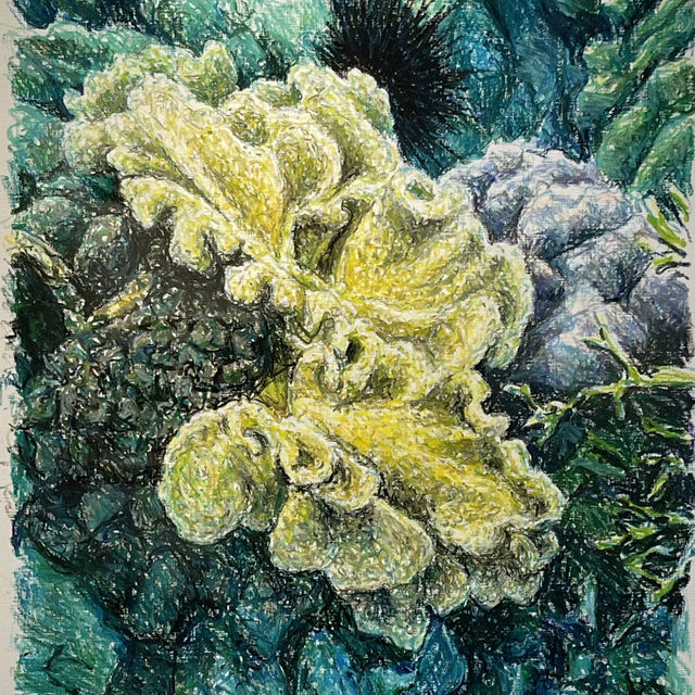 海之蒼穹