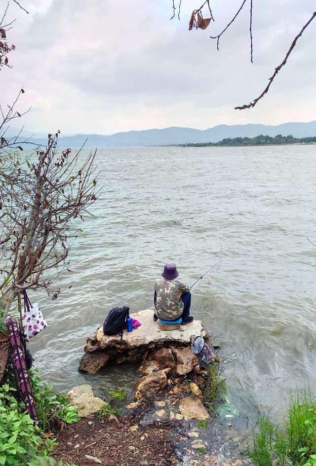 玉溪避暑之旅：星雲湖。