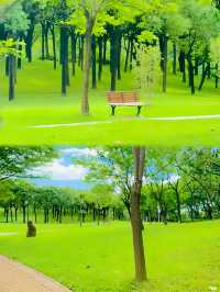 深圳可以野外奔跑嘅公園。