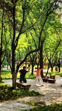 聽講西安豐慶公園錦簇芳菲，打卡過公園"山水綠叢中"才知曉。